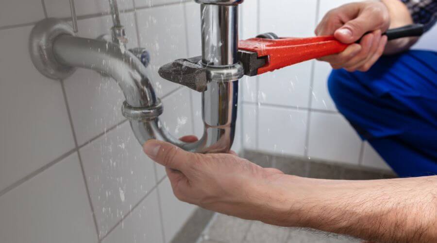 Professional Leak Detection in Borup, MN